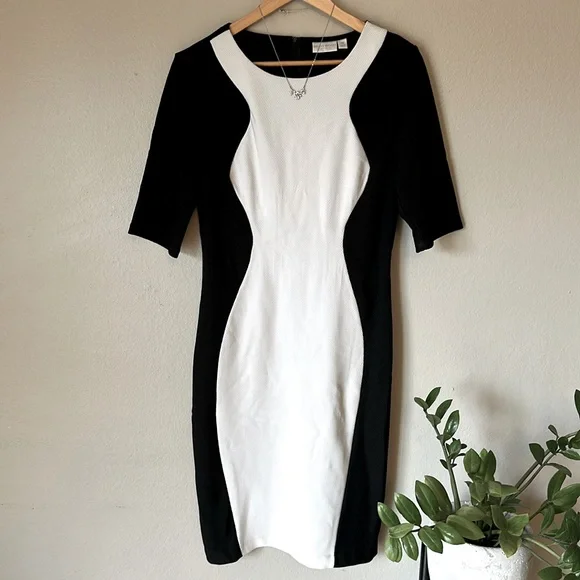 Bisou Bisou | Dresses | Bisou Bisou Dress Sheath Black Ivory Stretch Short  Sleeves Fitted Texture | Poshmark